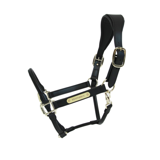 Kentucky Anatomic Leather Halter