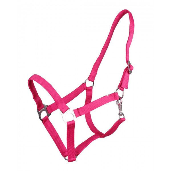 QHP Head Collar Slide