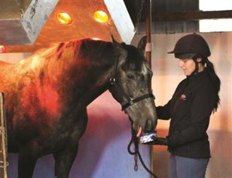 Horslyx Digestion Paddock Vitamin & Mineral Lick