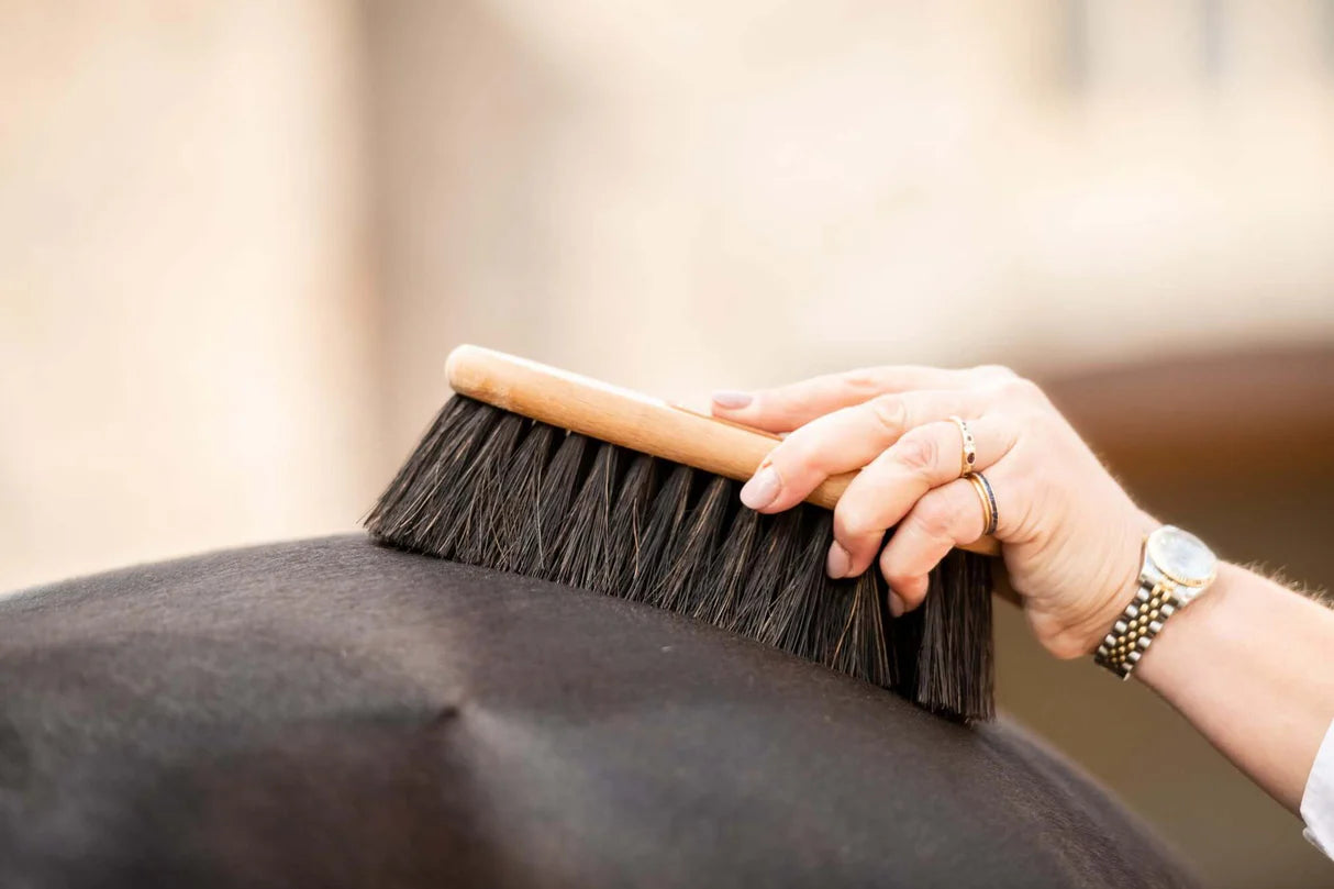 Borstiq Shaped Arenga Brush