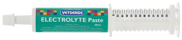 Vetsense Electrolyte Paste - 60ml