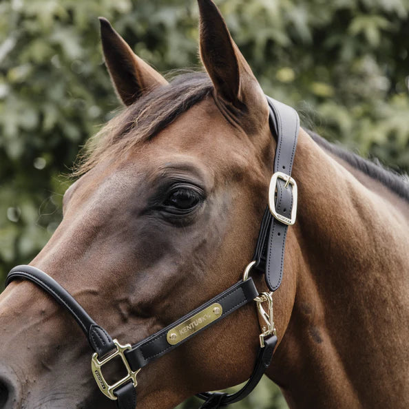 Kentucky Anatomic Leather Halter