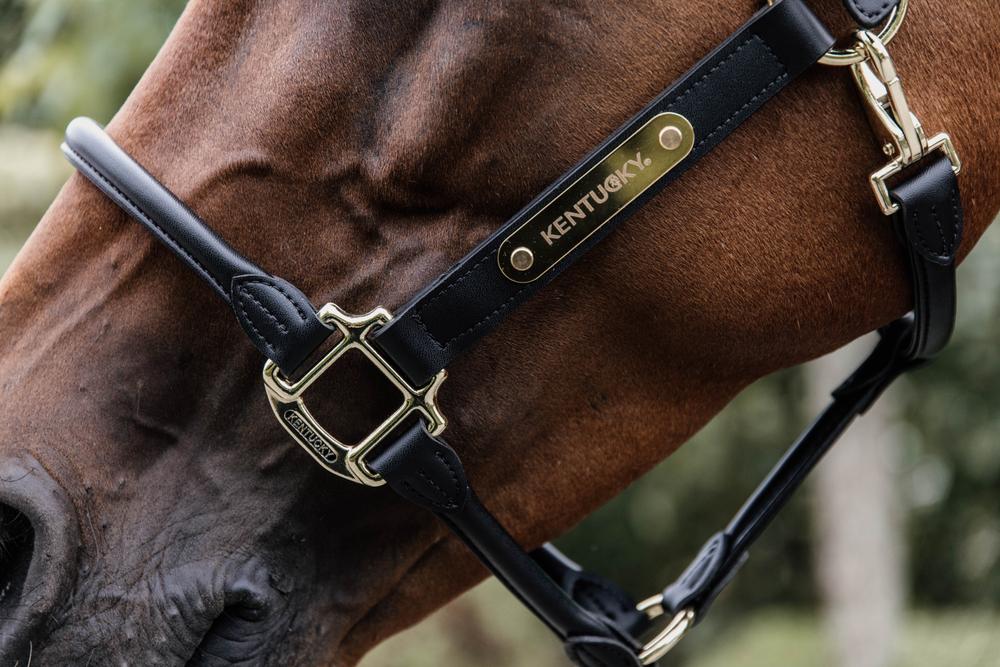 Kentucky Anatomic Leather Halter