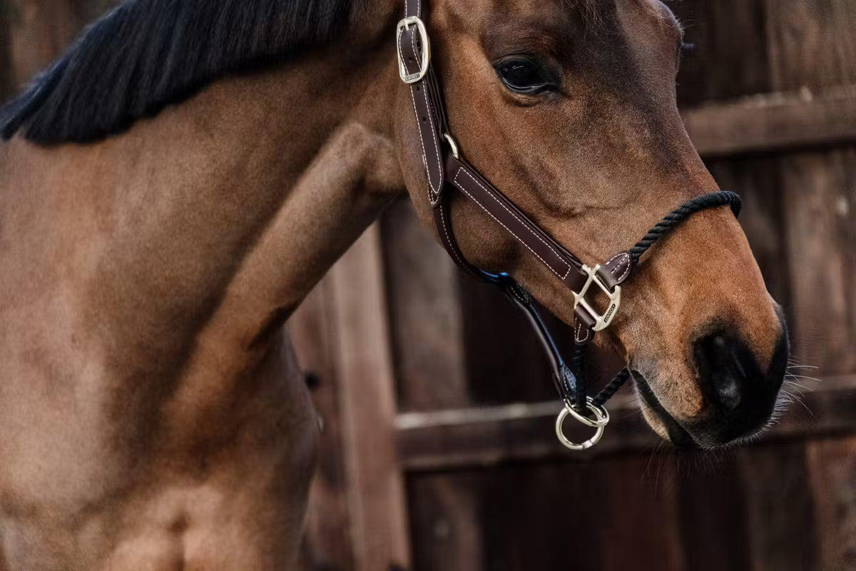 Kentucky Leather Rope Halter - Brown Leather