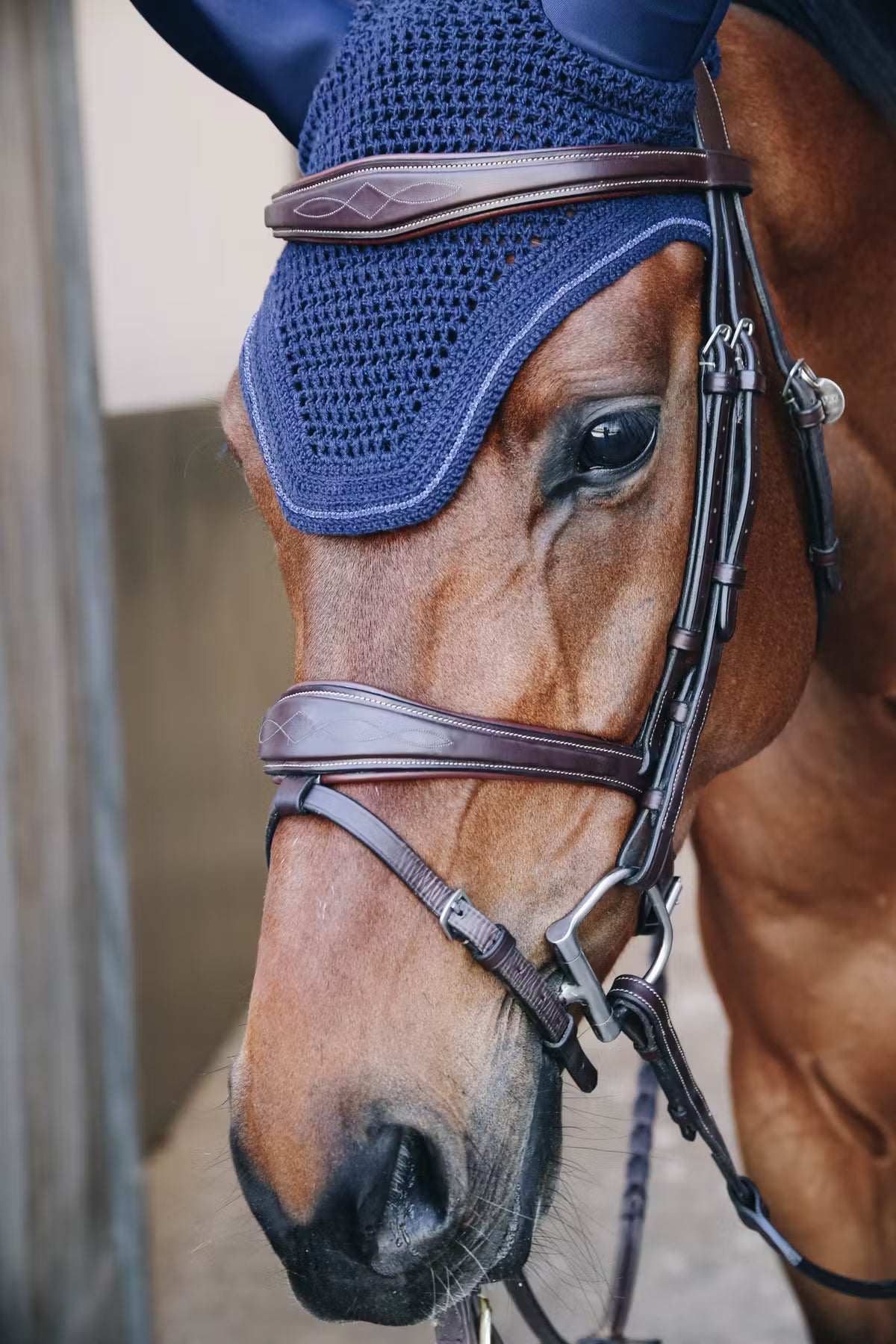Kentucky Fly Veil Wellington Sparkling - Soundless
