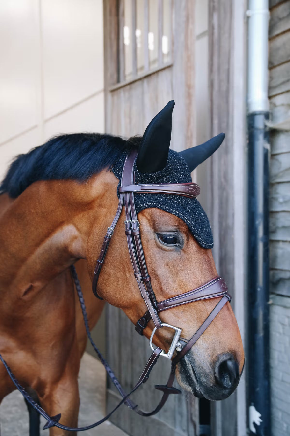 Kentucky Fly Veil Wellington Sparkling - Soundless
