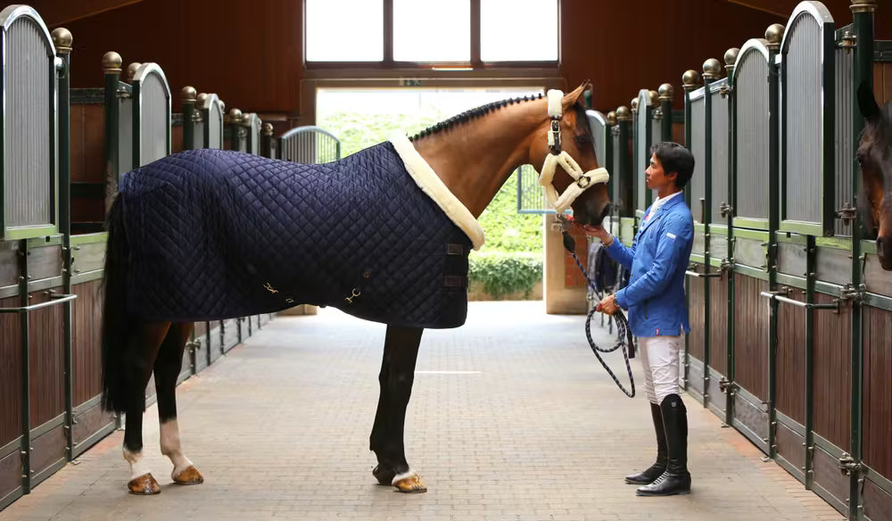 Kentucky Show Rug - Diamond Quilt