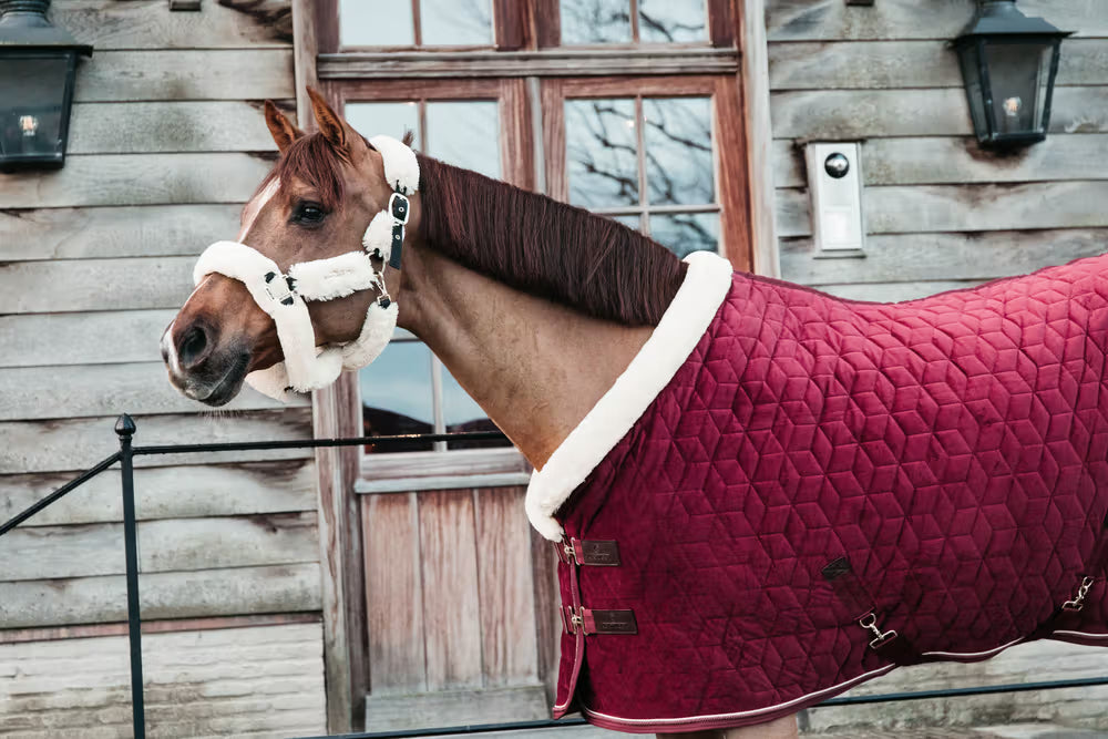 Kentucky Velvet Show Rug - Cube Quilt