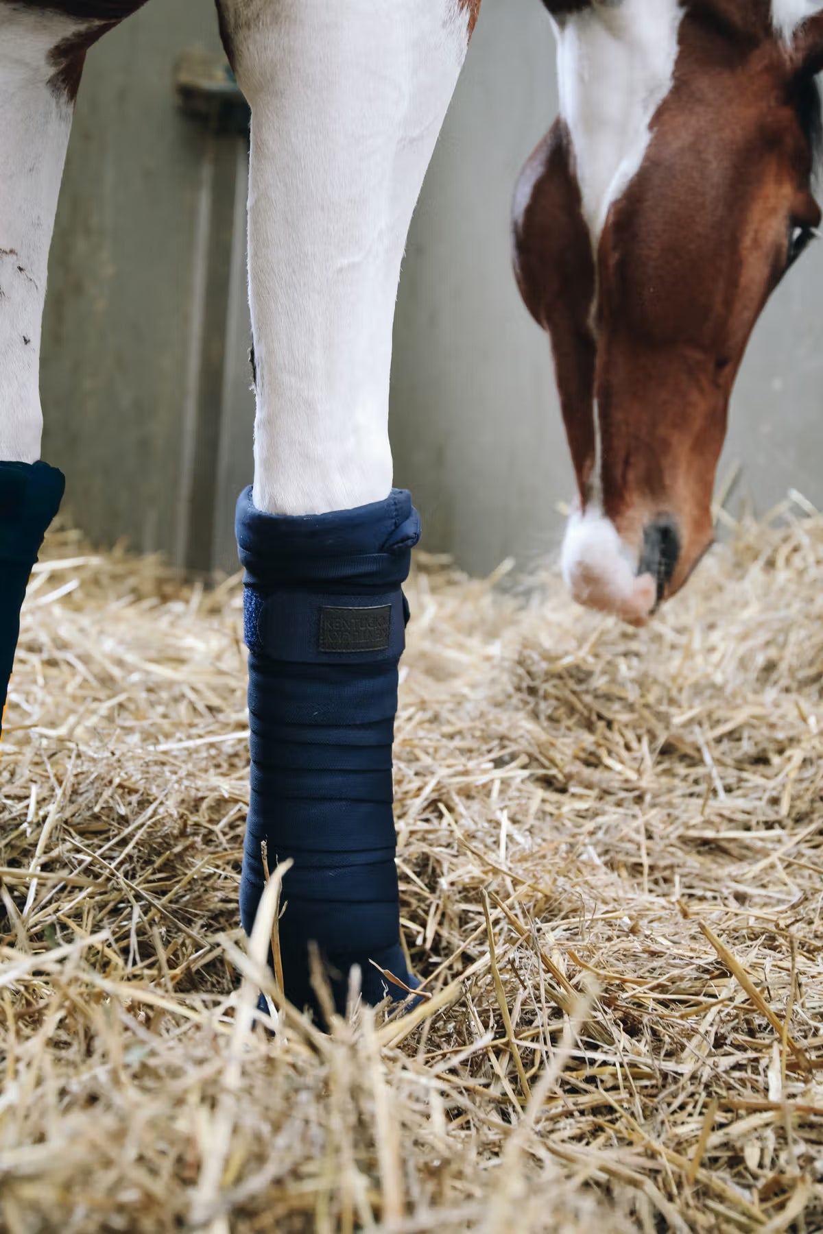 Kentucky Repellent Stable Bandages