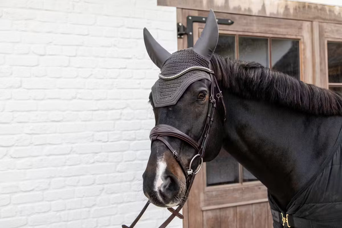 Kentucky Fly Veil Wellington - Soundless