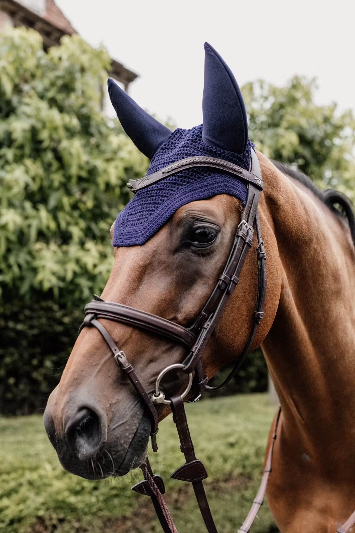 Kentucky Fly Veil Wellington - Soundless