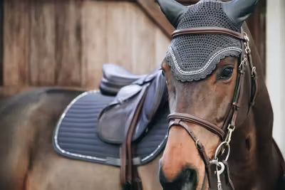 Kentucky Fly Veil Wellington Stone and Pearl - Not Soundless