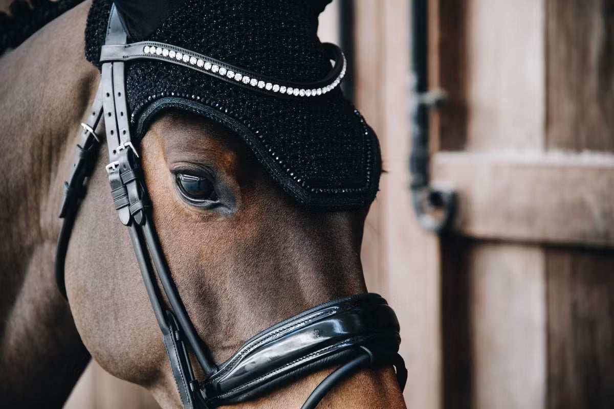 Kentucky Fly Veil Wellington Glitter Band - Not Soundless