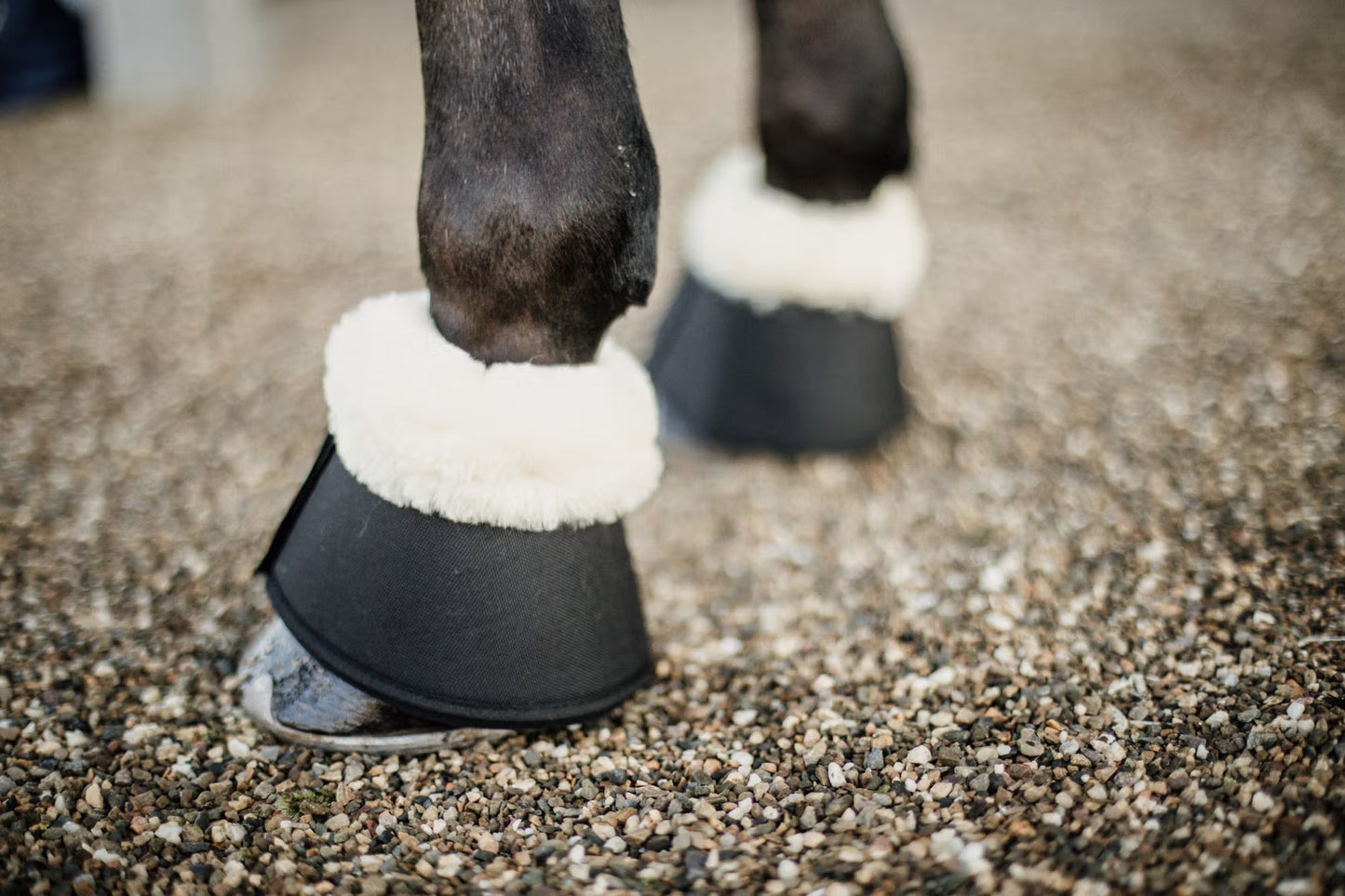 Kentucky Sheepskin Overreach Boots Solimbra