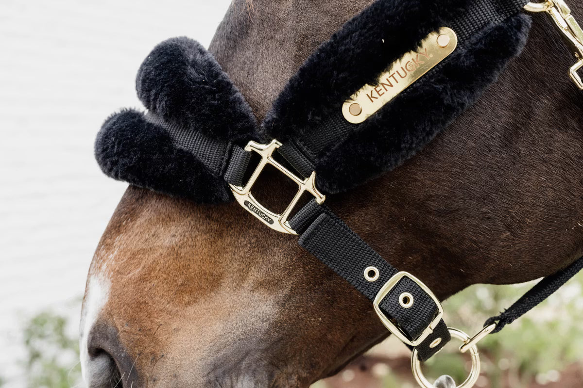 Kentucky Nylon Sheepskin Halter - Soft