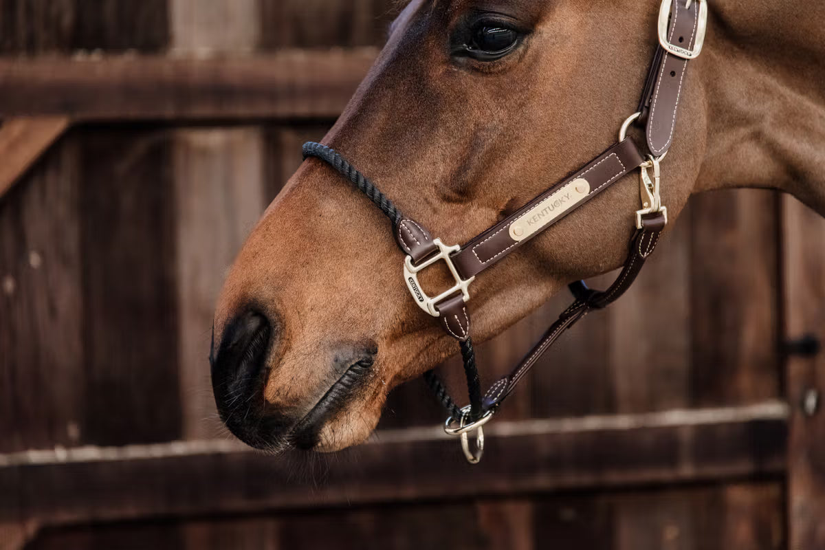 Kentucky Leather Rope Halter - Brown Leather