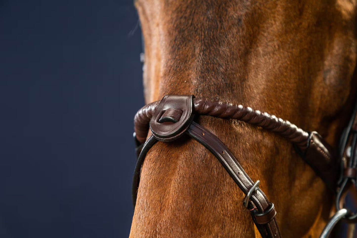 Dy'on Flash Nose Strap 1/2" with 2 Removable Attachments - New English Collection