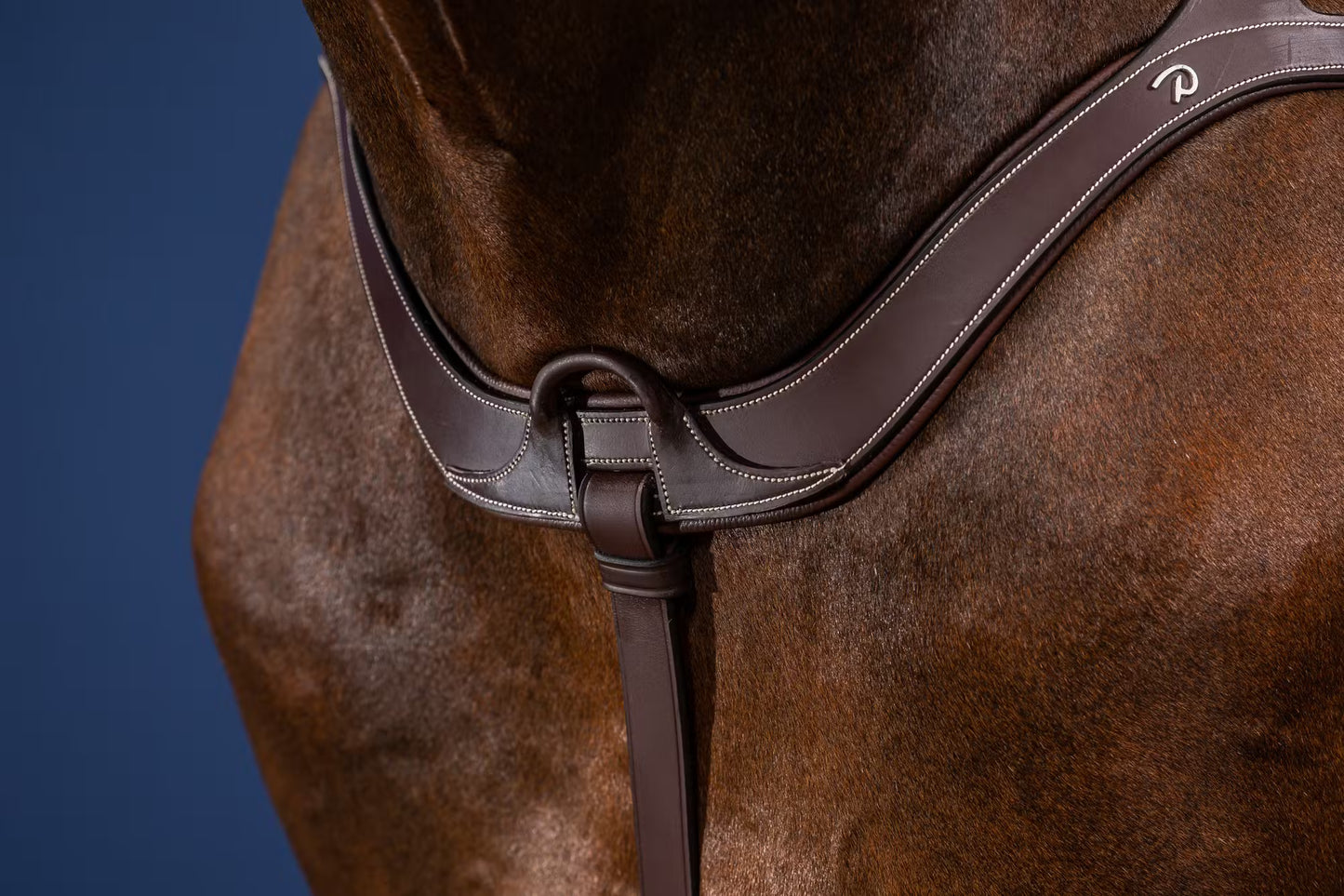Dy'On Anatomical Breastplate - US Jumping Collection