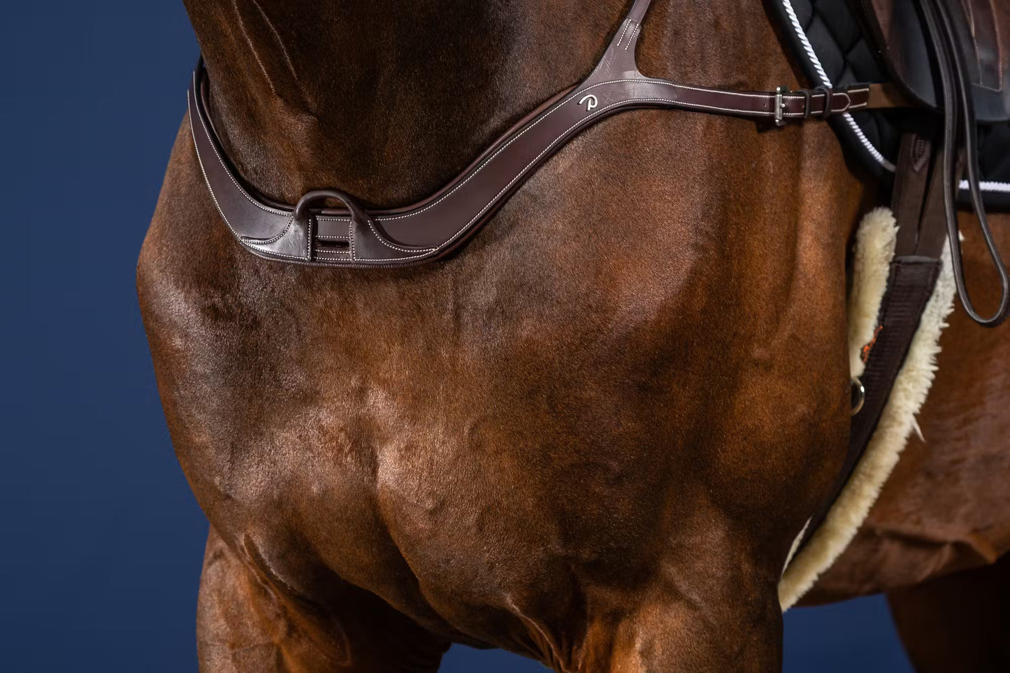 Dy'On Anatomical Breastplate - US Jumping Collection