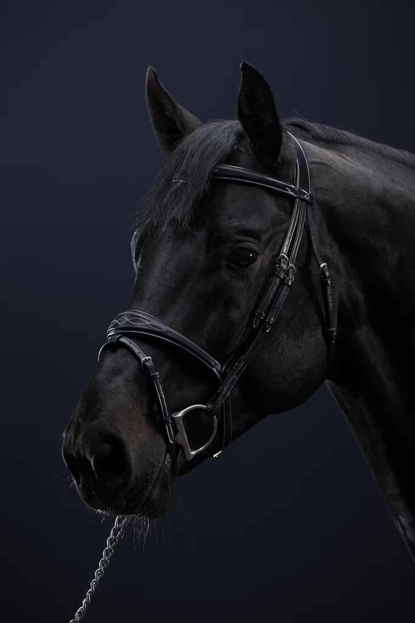 Dy'on Anatomic Flash Noseband Bridle - US Collection