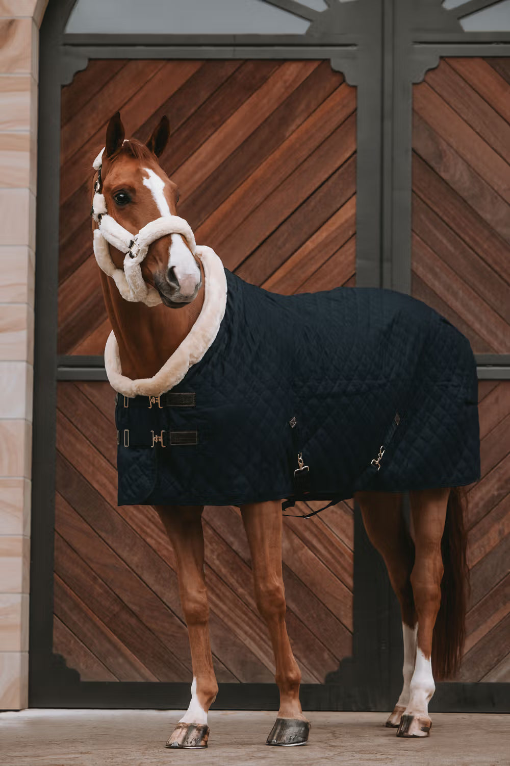 Kentucky Show Rug - Diamond Quilt