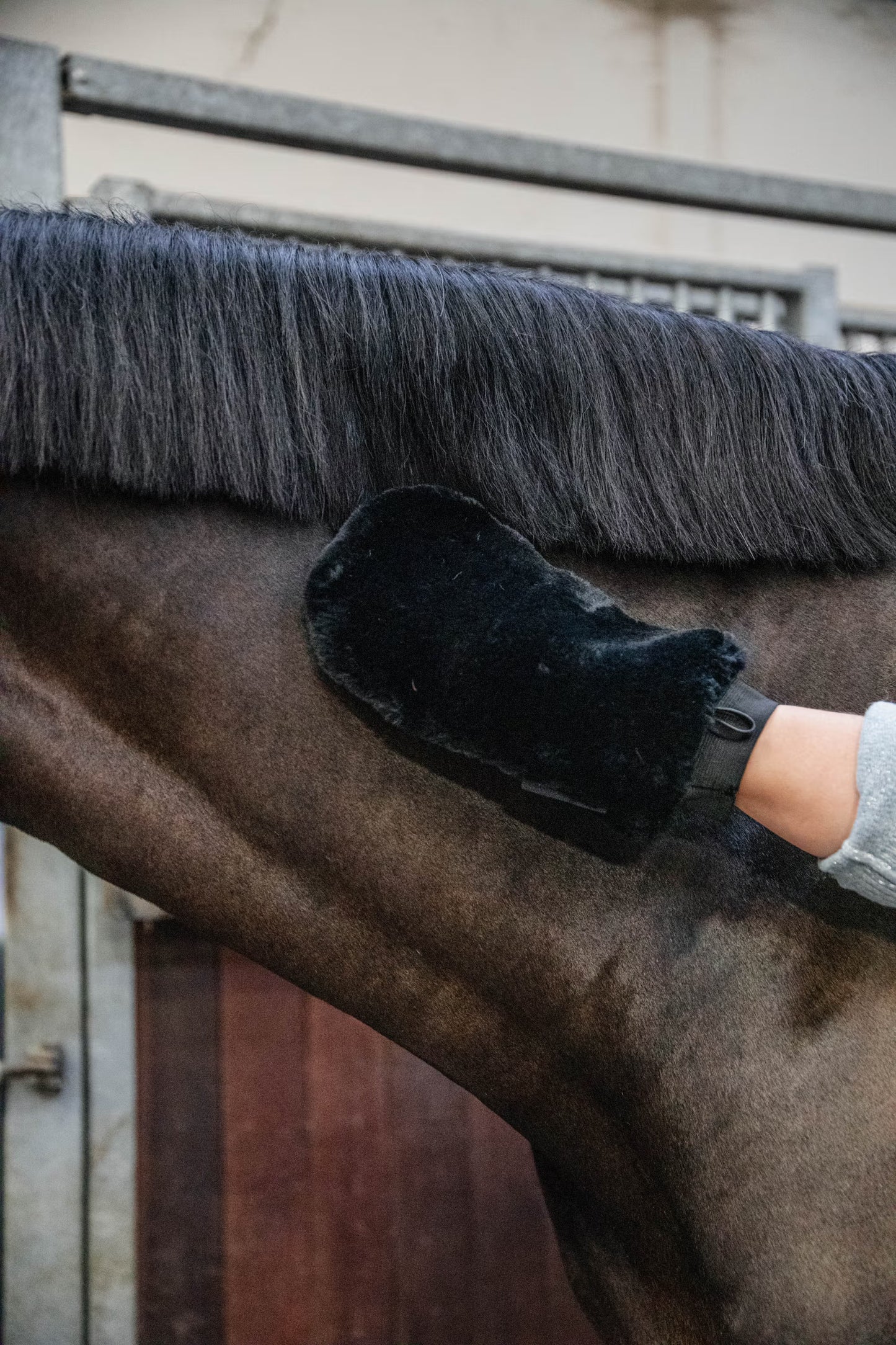 Kentucky Grooming Deluxe Sheepskin Grooming Glove