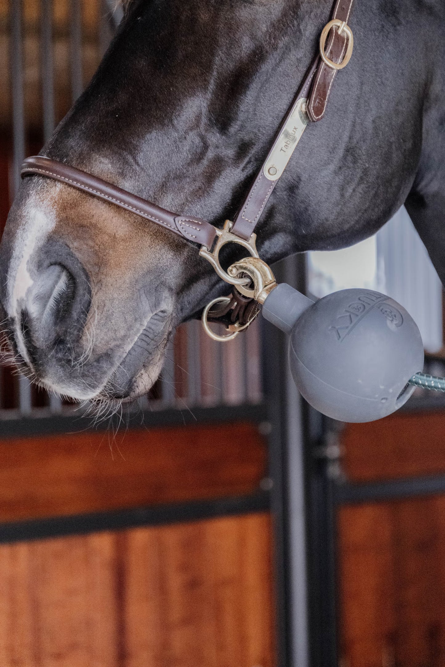 Kentucky Rubber Ball Protection Wall and Lead
