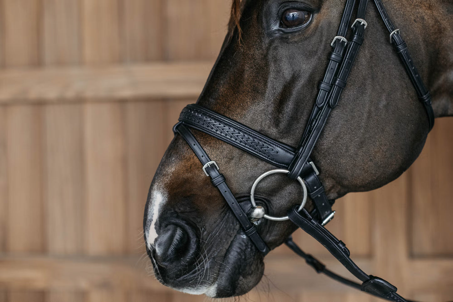 Dy'On Plaited Flash Noseband Bridle with Pull Back - New English Collection