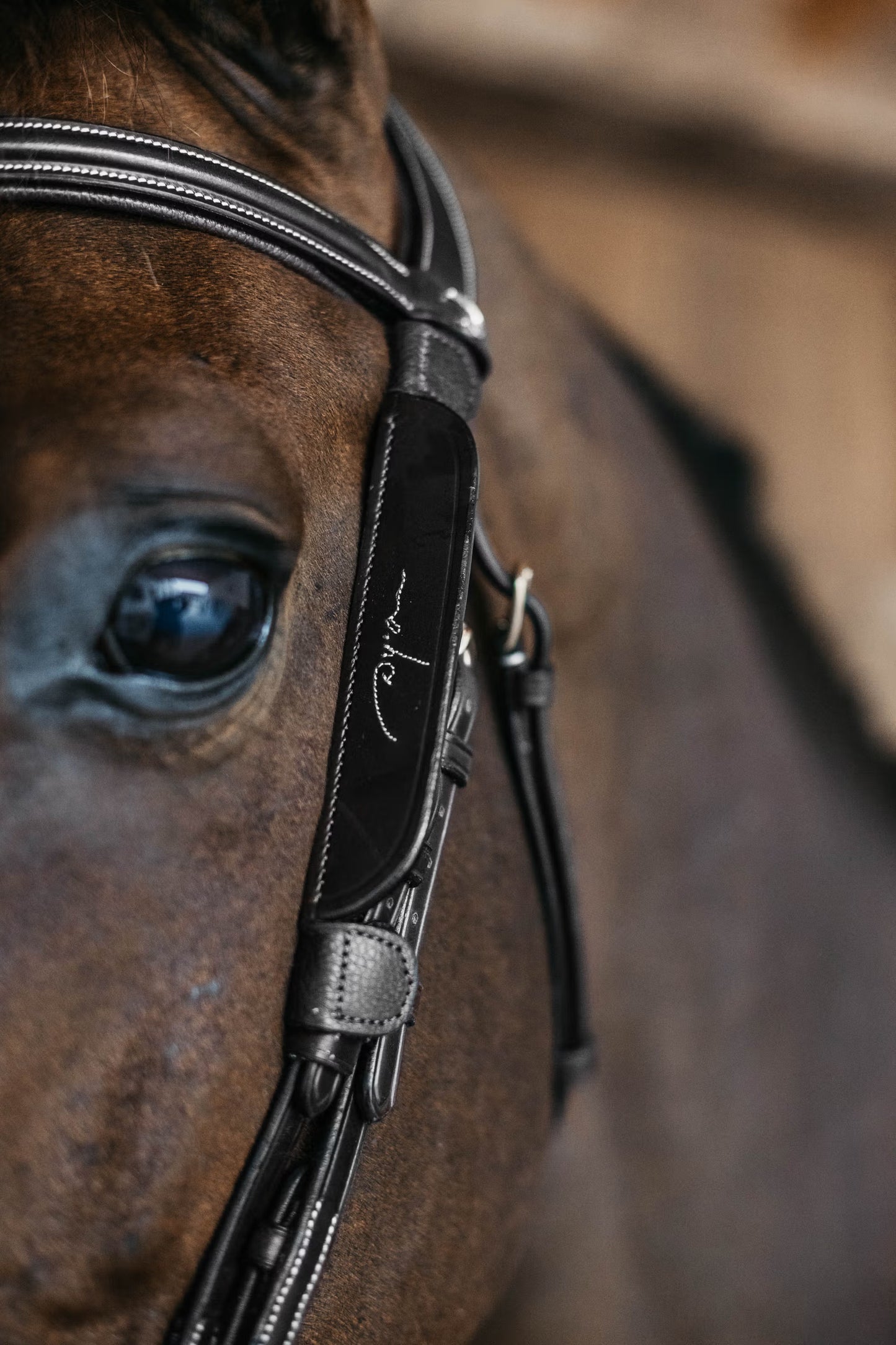 Dy'on Blinkers with Fancy Stitching