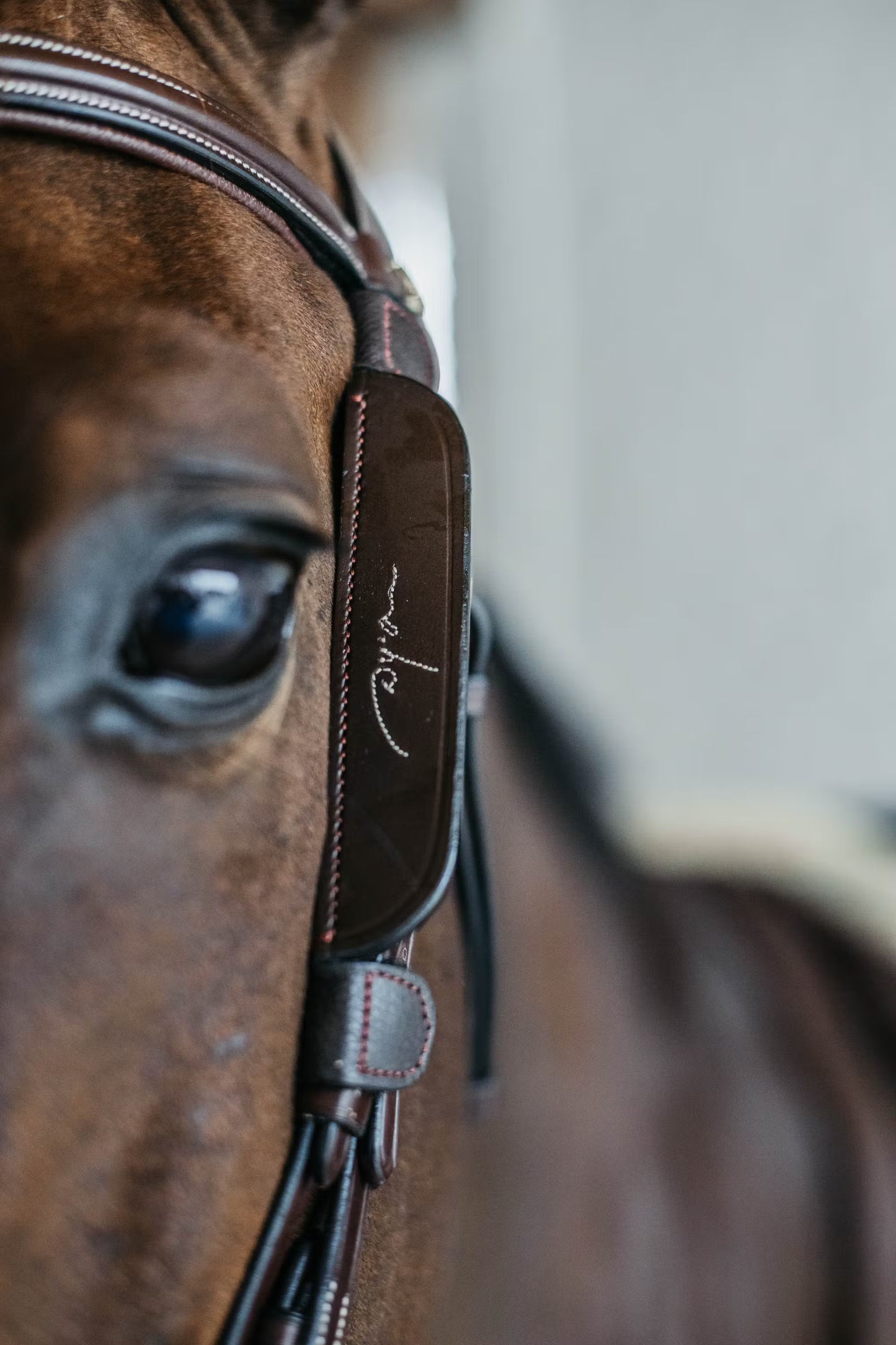 Dy'on Blinkers with Fancy Stitching