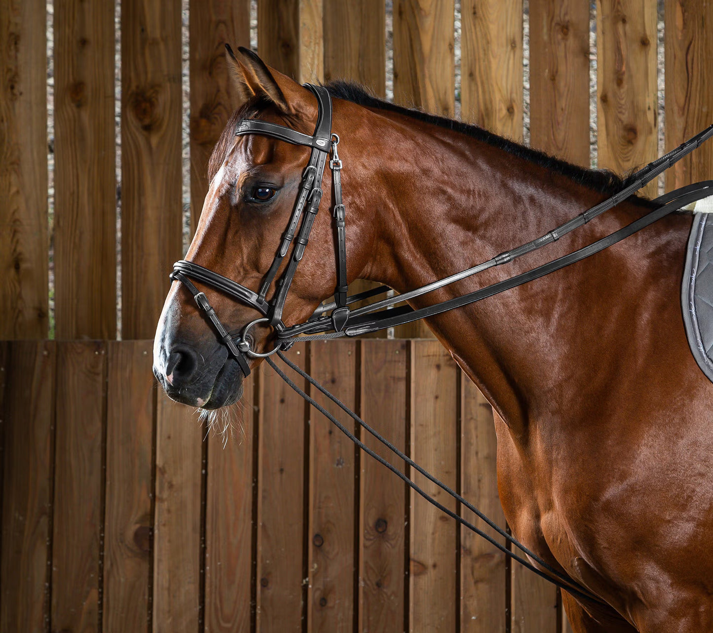 Dy'on Leather/Nylon Draw Reins 5/8" - Working by Dy'on