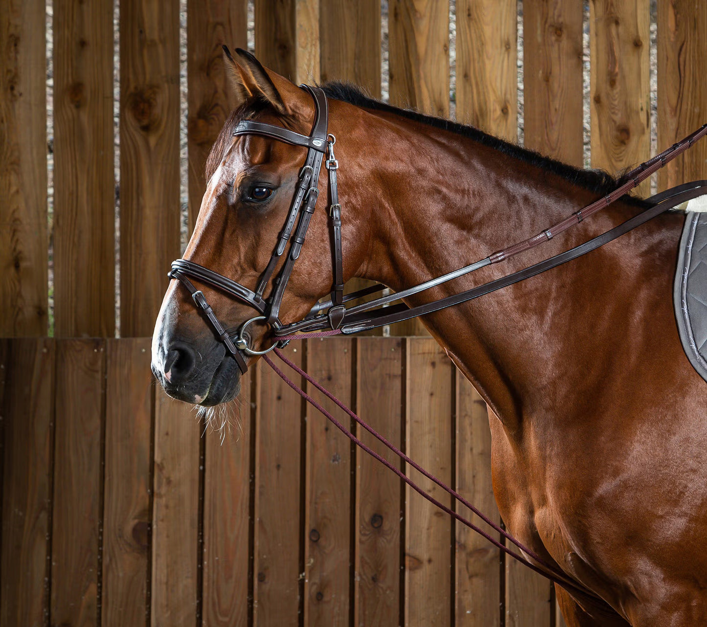 Dy'on Leather/Nylon Draw Reins 5/8" - Working by Dy'on