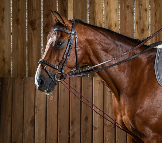 Dy'on Leather/Nylon Draw Reins 5/8" - Working by Dy'on