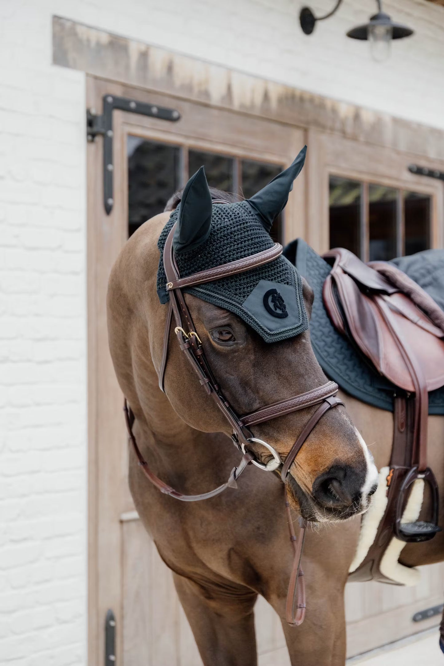 Dy'on Plaited Flash Noseband Bridle - D Collection