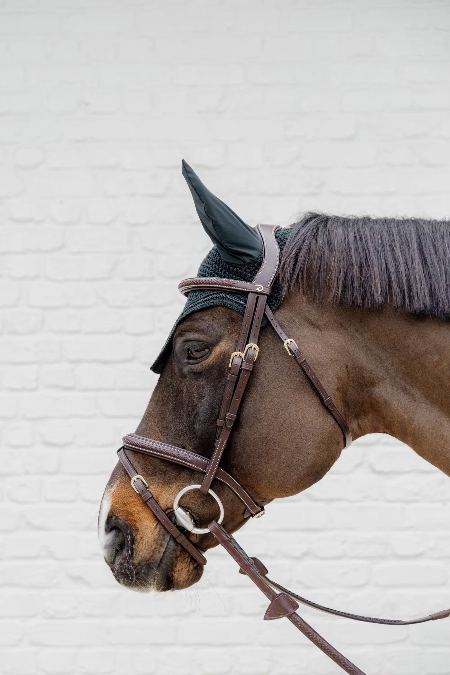 Dy'on Plaited Flash Noseband Bridle - D Collection