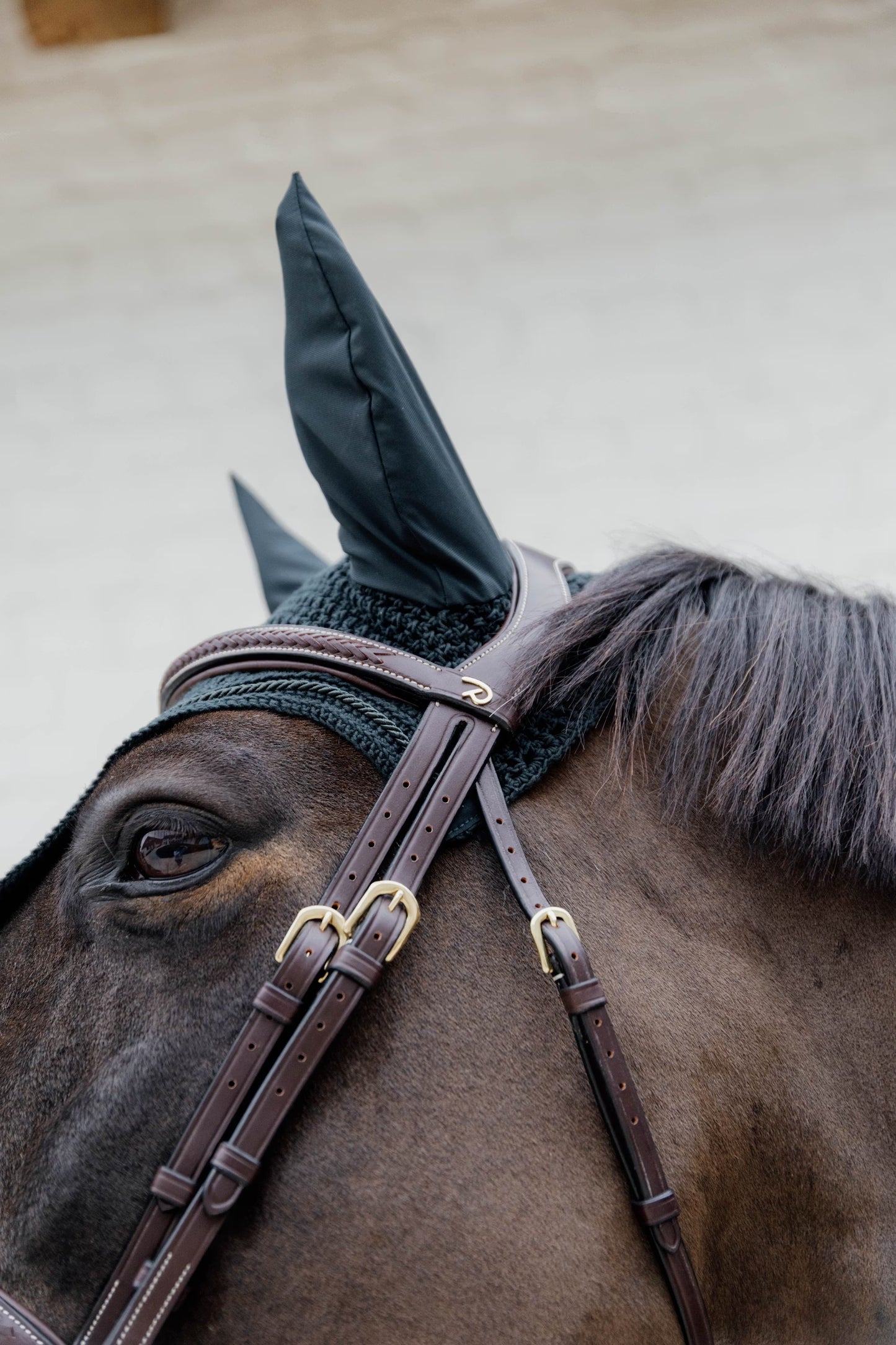 Dy'on Plaited Flash Noseband Bridle - D Collection