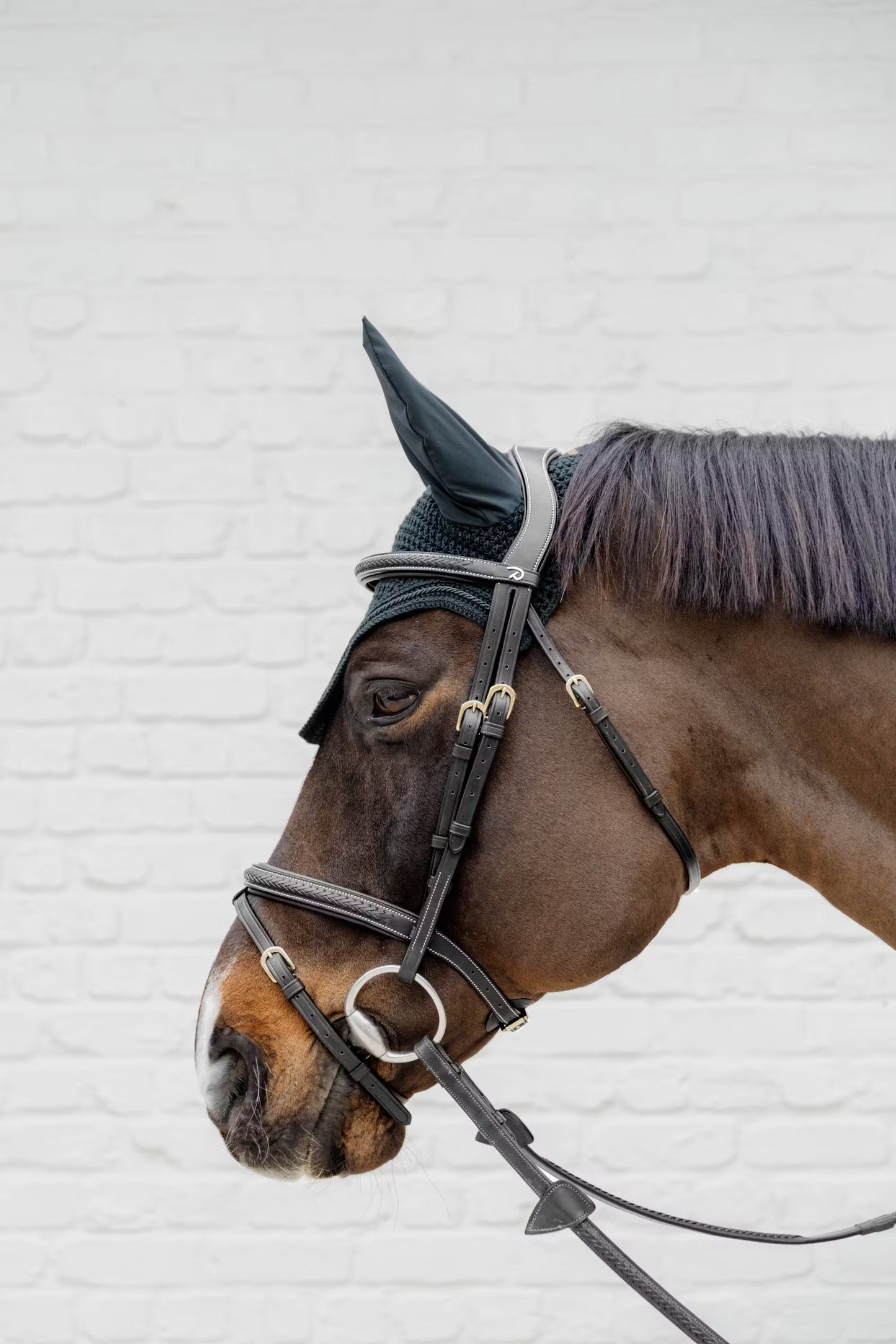 Dy'on Plaited Flash Noseband Bridle - D Collection