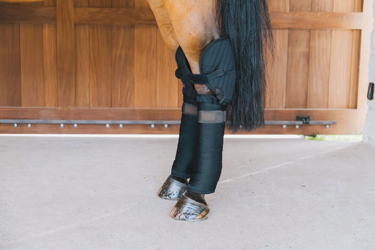 Kentucky Transport Stable Bandage Pad with Hock Protection