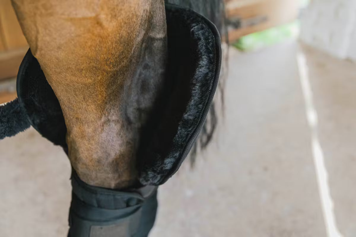 Kentucky Transport Stable Bandage Pad with Hock Protection