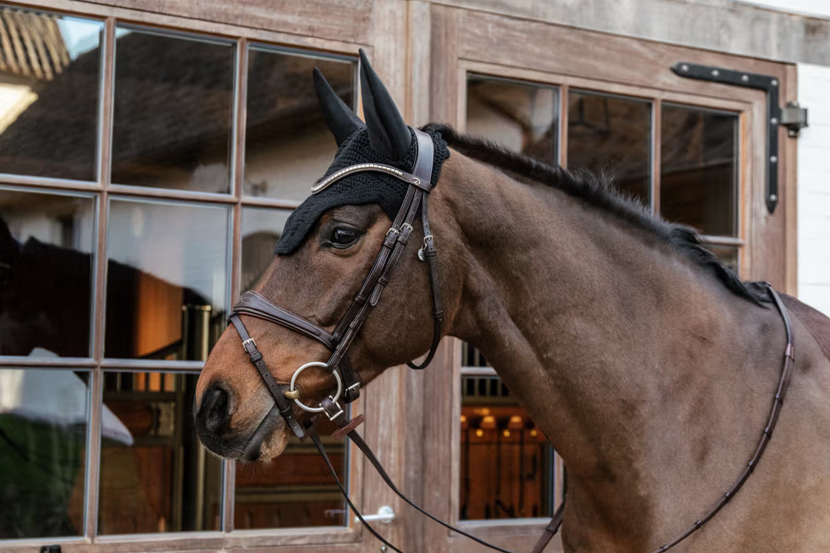 Kentucky Fly Veil Wellington - Soundless