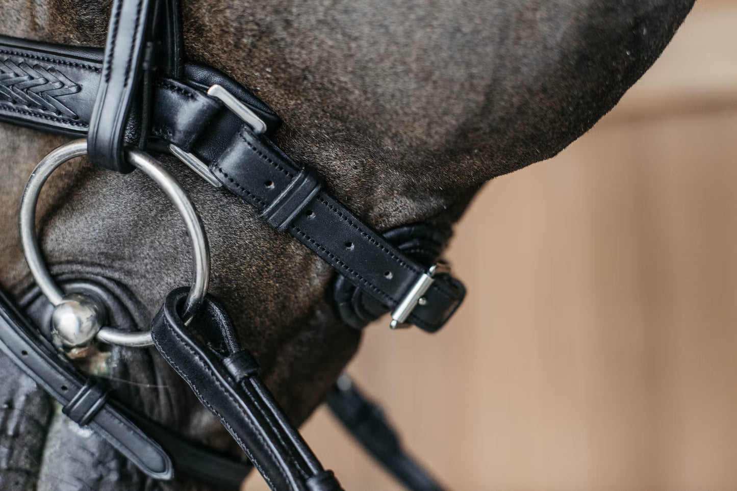 Dy'On Plaited Flash Noseband Bridle with Pull Back - New English Collection