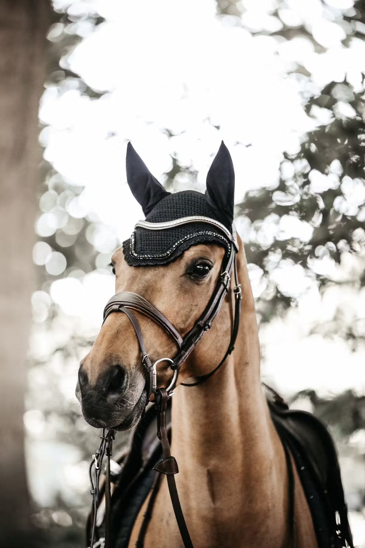 Kentucky Fly Veil Wellington Stone and Pearl - Not Soundless