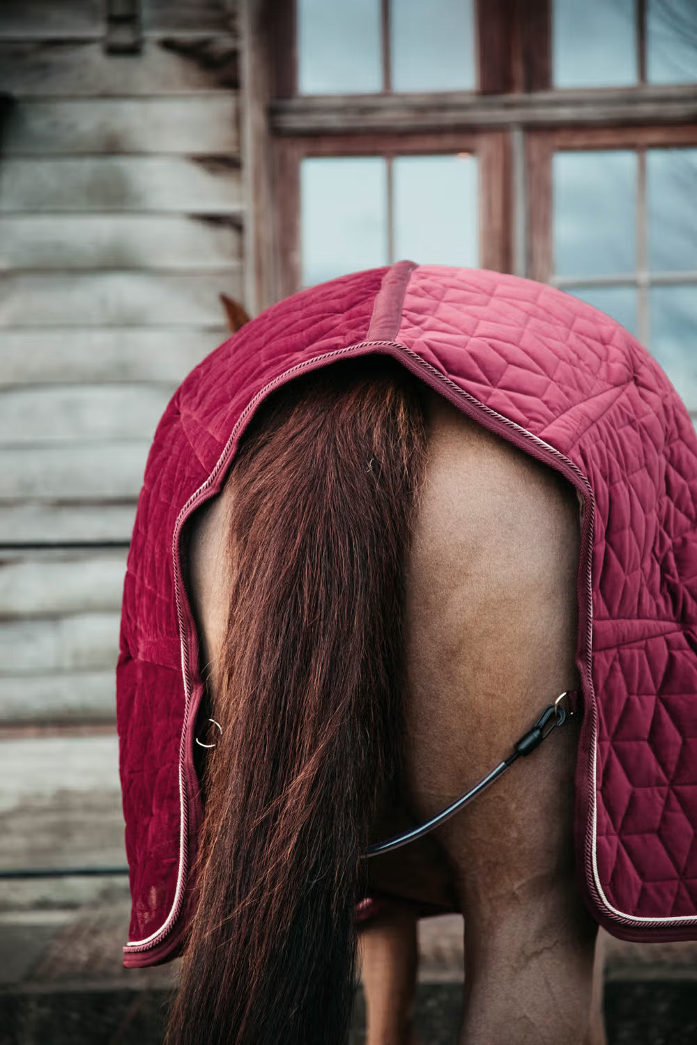 Kentucky Velvet Show Rug - Cube Quilt