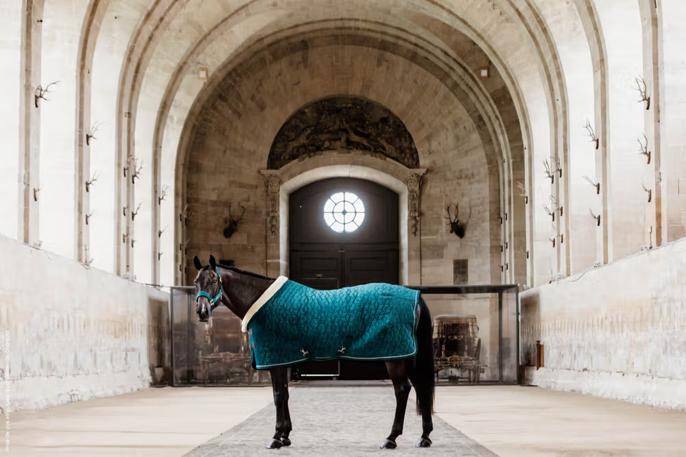 Kentucky Velvet Show Rug - Cube Quilt