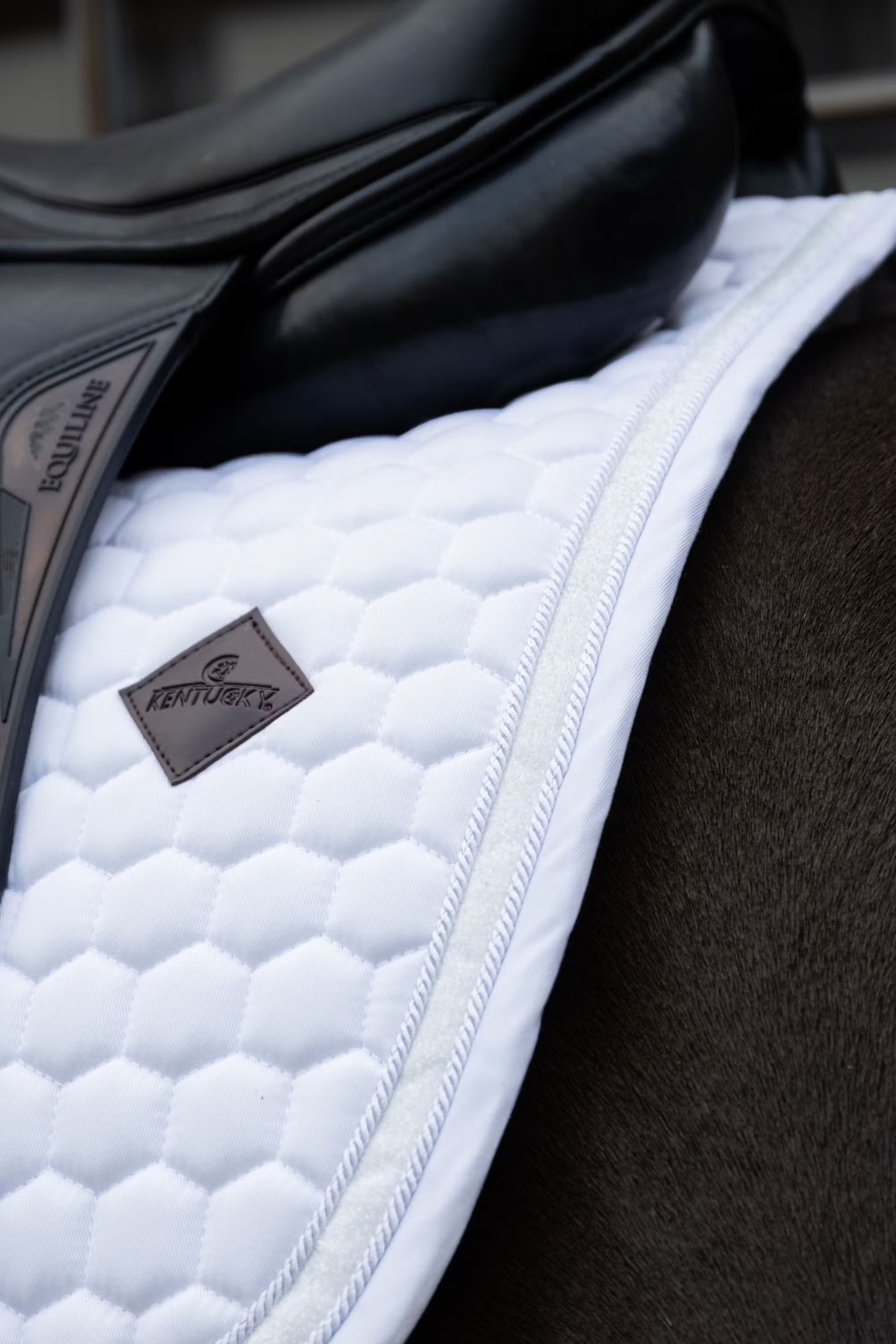 Kentucky Saddle Pad Glitter Band - Dressage