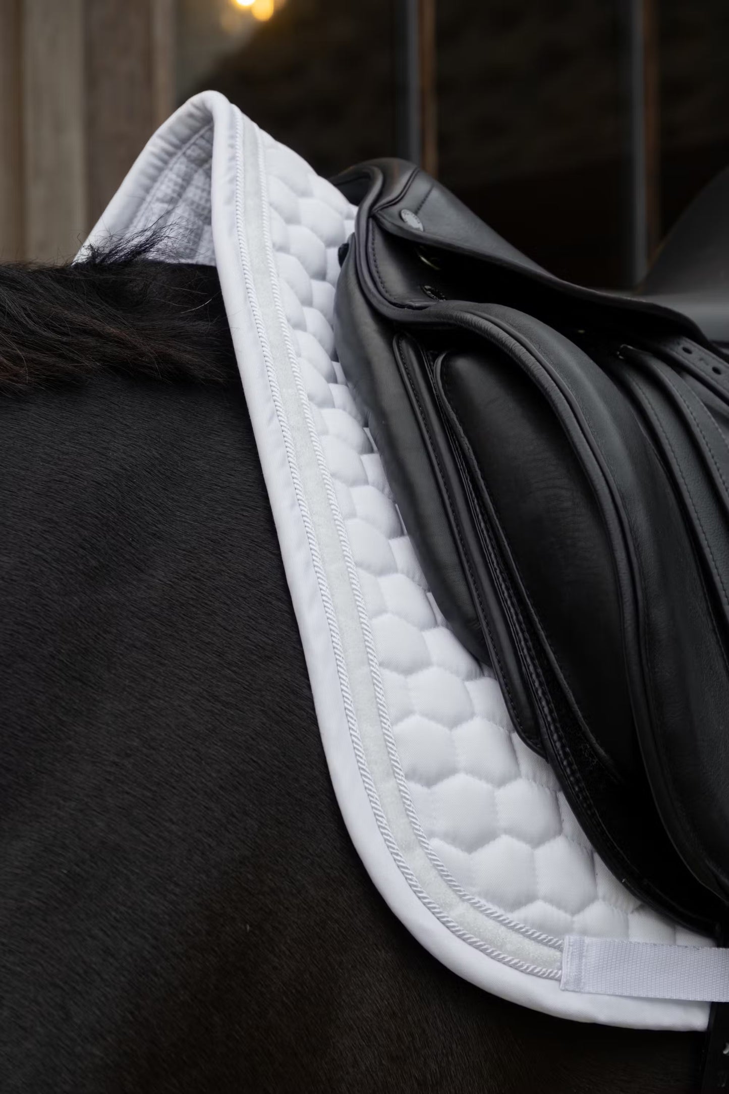 Kentucky Saddle Pad Glitter Band - Dressage