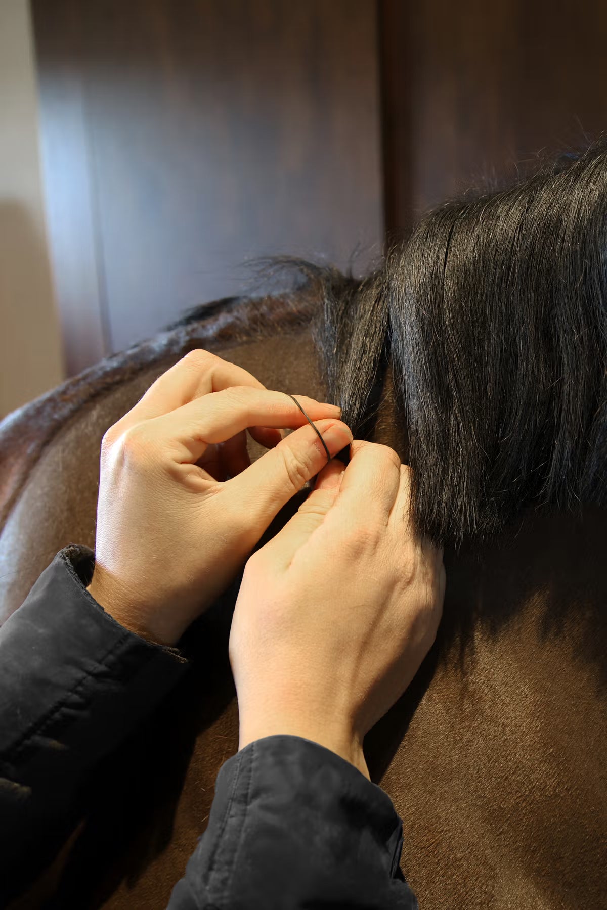 Kentucky Grooming Deluxe Rubber Bands
