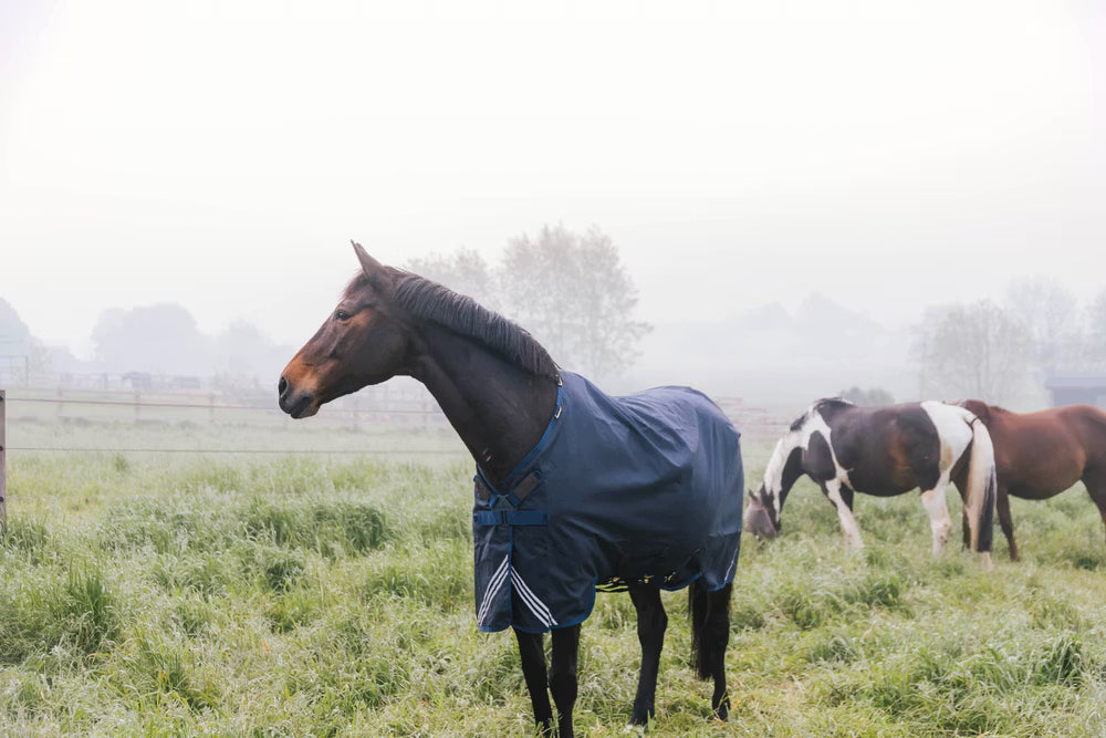Kentucky Turnout Rug All Weather Waterproof Comfort - 200g
