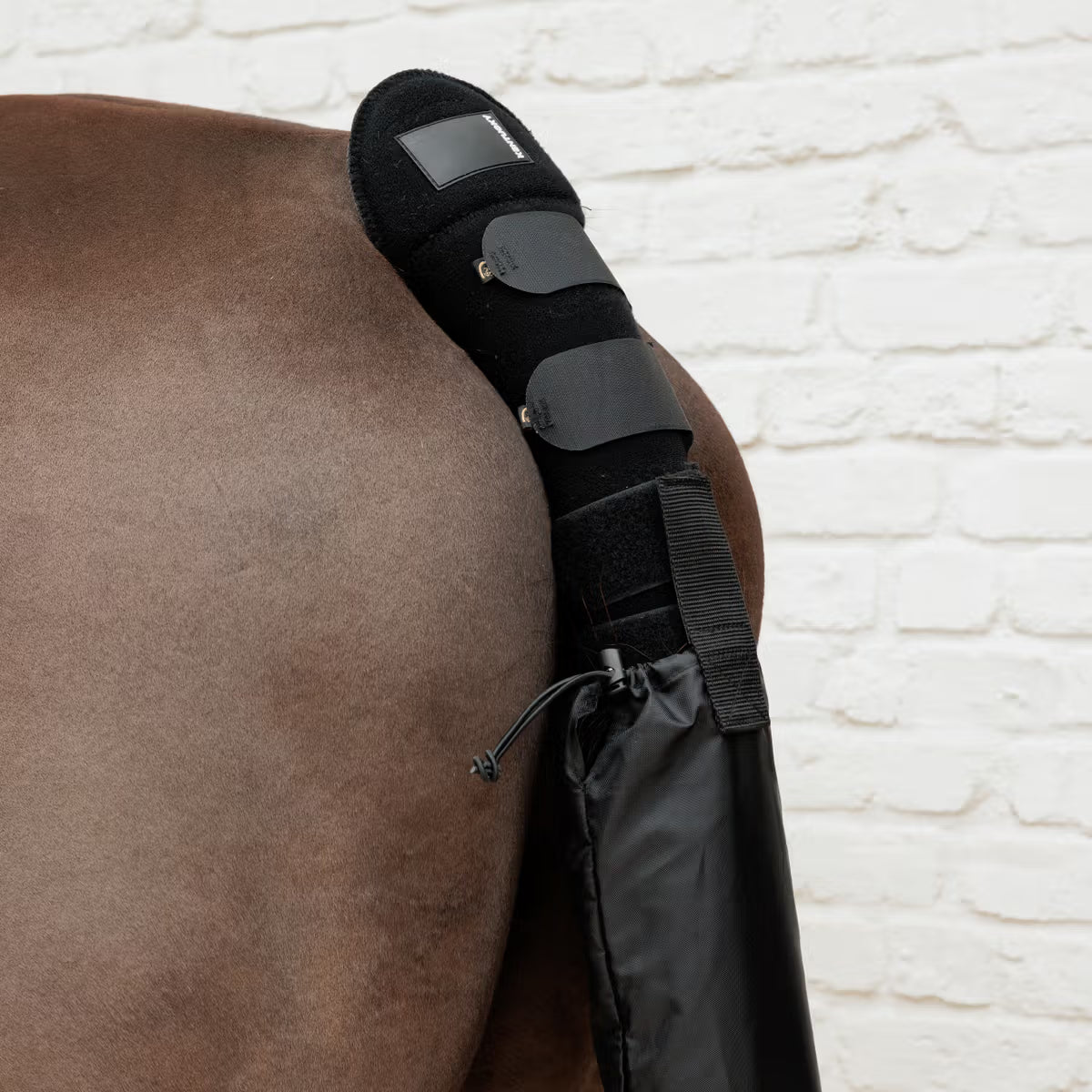 Kentucky Tail Guard and Tail Bag