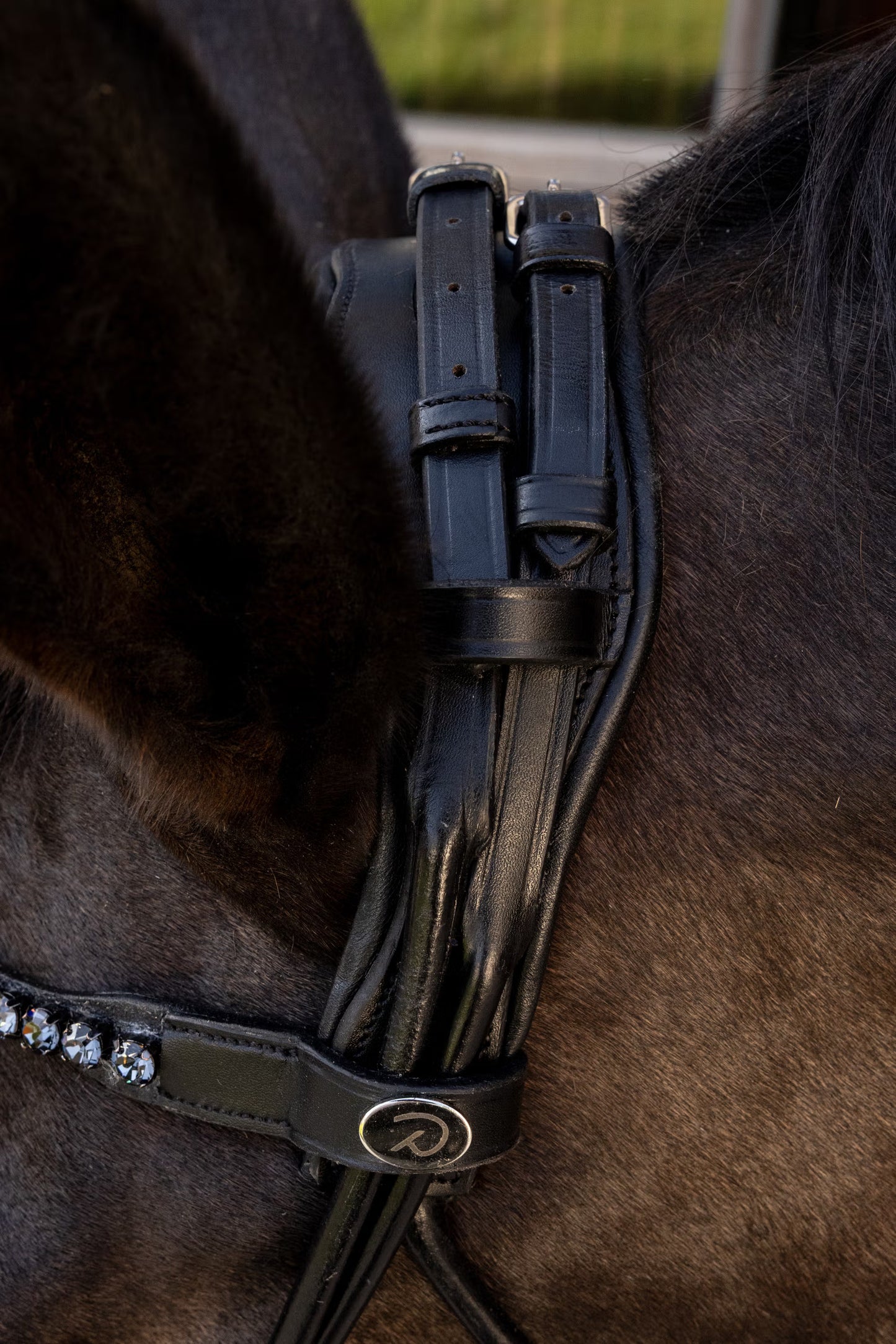 Dy'on ComfoHead Bridle